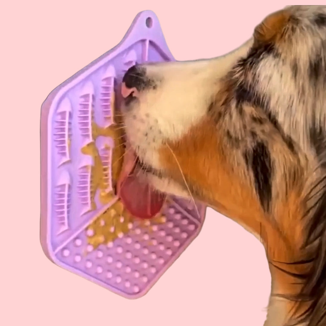 Treats & Enrichment Stinky Dog Australia