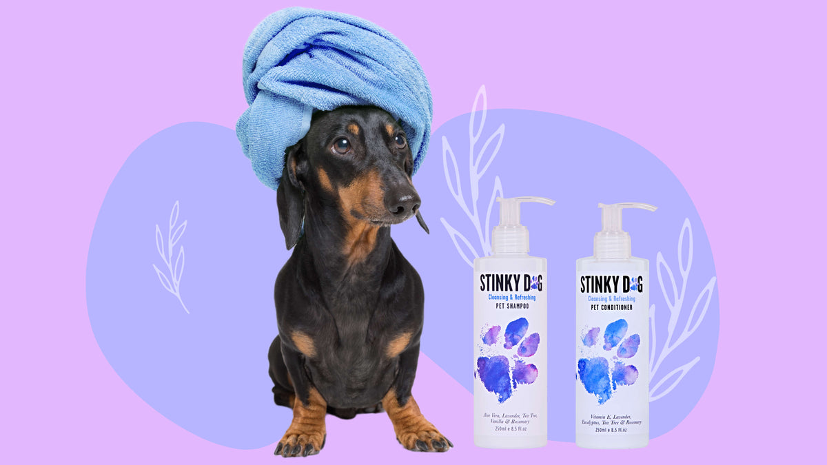 Stinky Dog Australia