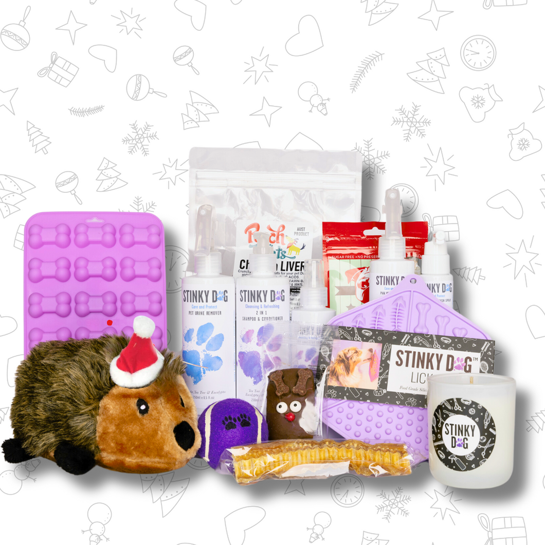 CHRISTMAS GIFT PACK FOR DOGS - Hedgehog Santa