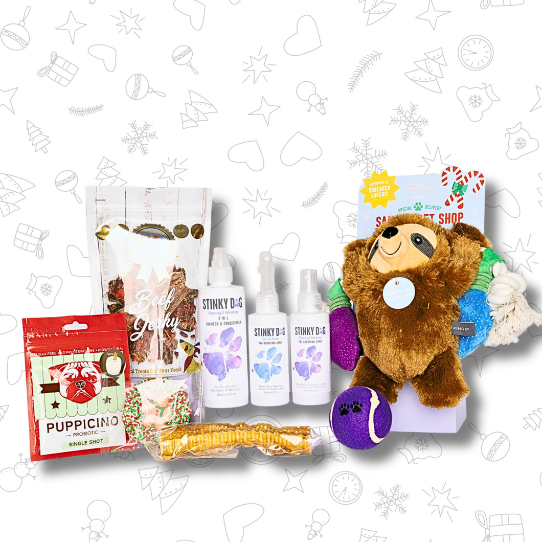 CHRISTMAS GIFT PACK FOR DOGS - Plush Sloth Christmas Lights