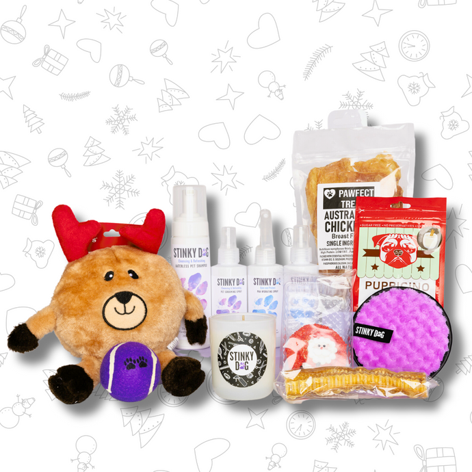 CHRISTMAS GIFT PACK FOR DOGS - Brainey Reindeer