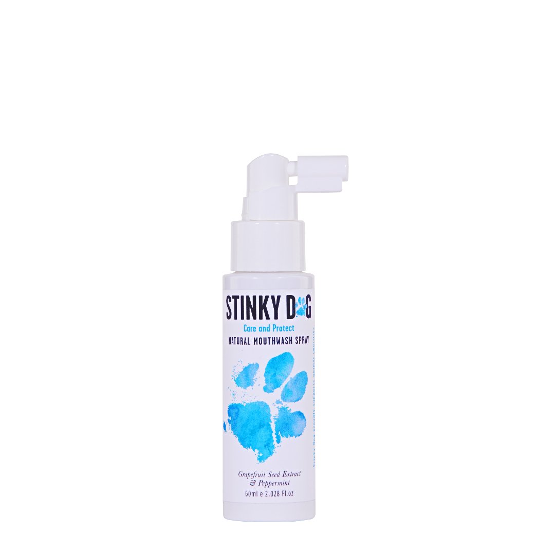 Natural sales dog mouthwash
