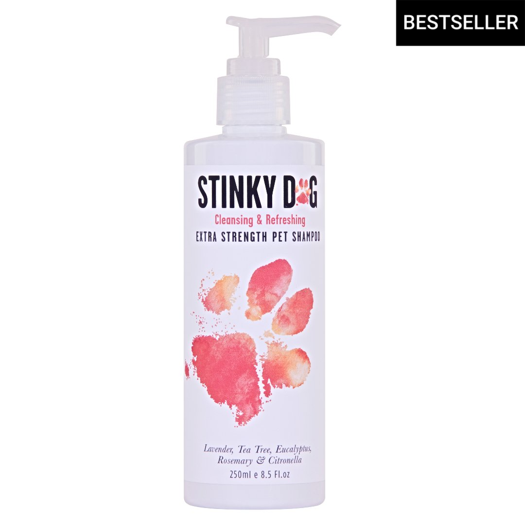 Stinky dog shop shampoo